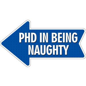 ‘PHD In Being Naughty’ Word Board Photo Booth Prop