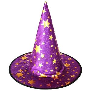 Purple & Gold Stars Wizard & Witches Pointed Hat Halloween Fancy Dress Accessory